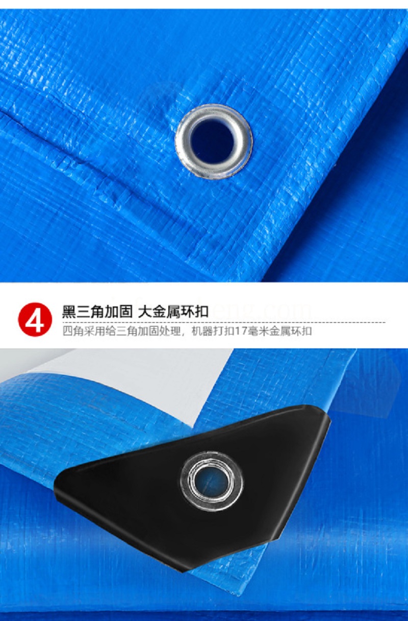 031ef70a92aafaf8b5c28a589c750493.jpg