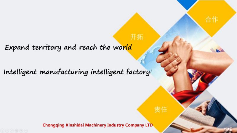 XINSHIDAI company profile_30.png